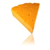 Dental City - Cheese Head