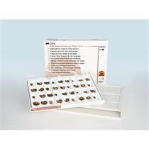 3M - Unitek Gold Anodized Crowns 2nd Temporary Molar