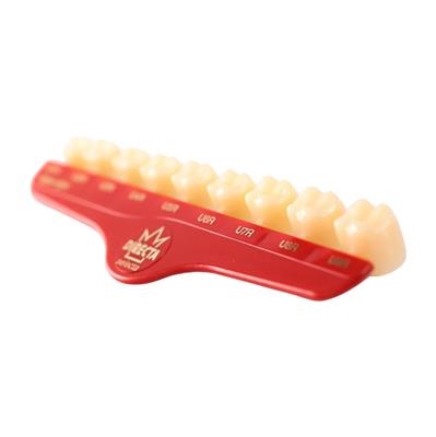 Directa Dental - Temporary Crown