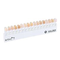 Kulzer - Artic Shade Guide
