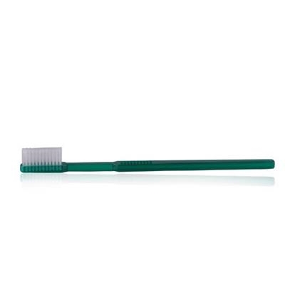 Oraline - Coral Max Toothbrushes